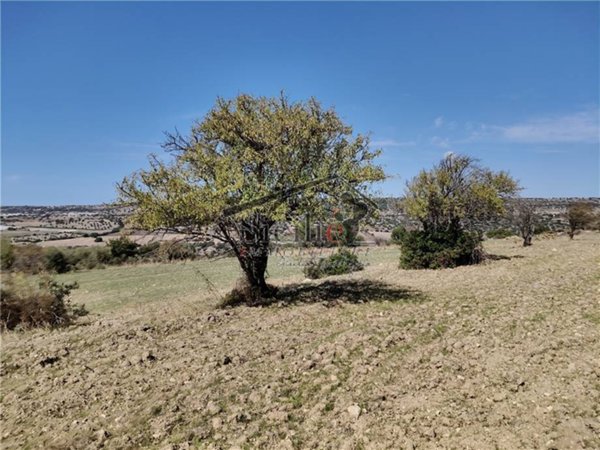 casa indipendente in vendita a Scicli