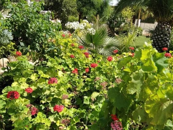 terreno agricolo in vendita a Scicli in zona Sampieri