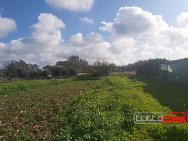 terreno agricolo in vendita a Scicli