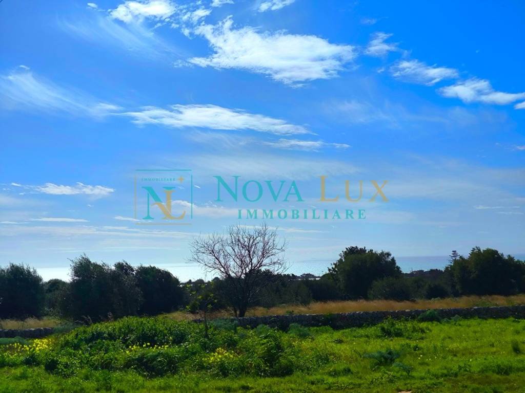 immagine annuncio 0 di 8