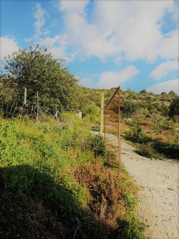 terreno agricolo in vendita a Scicli