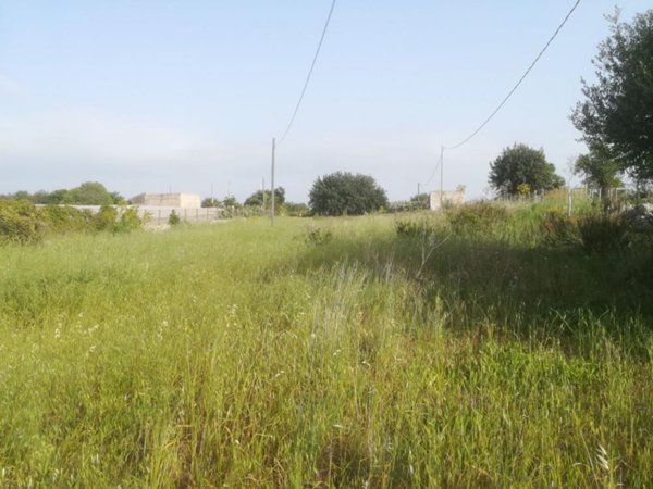 terreno agricolo in vendita a Scicli