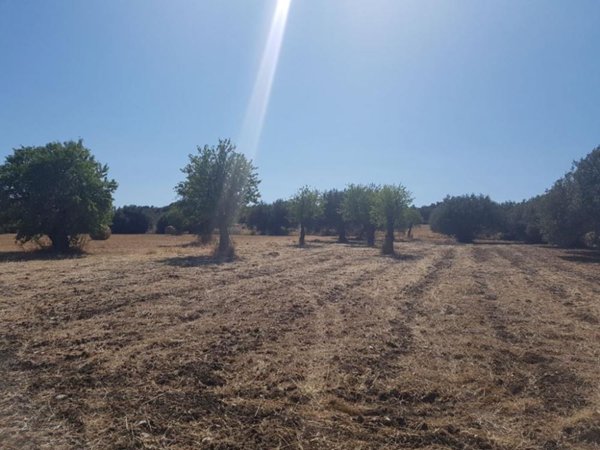 terreno agricolo in vendita a Scicli