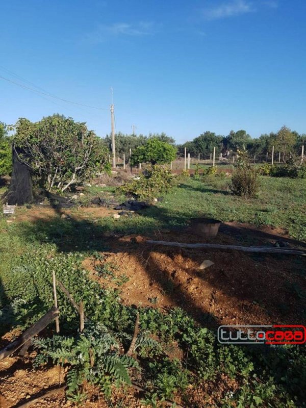terreno agricolo in vendita a Scicli