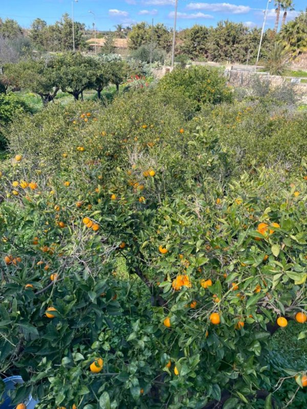 casa indipendente in vendita a Scicli in zona Donnalucata