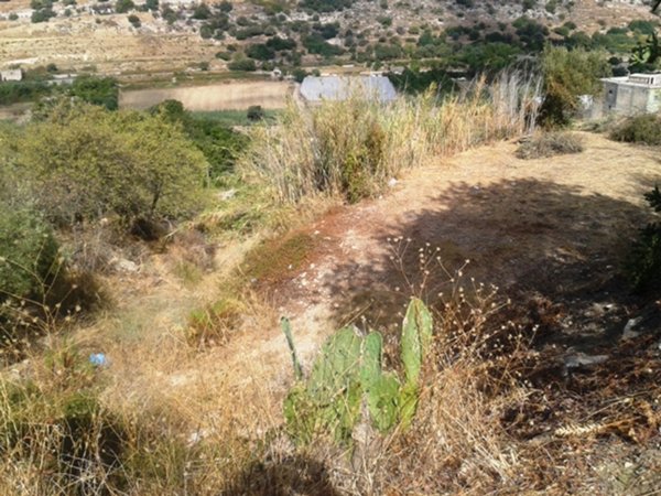 terreno agricolo in vendita a Scicli