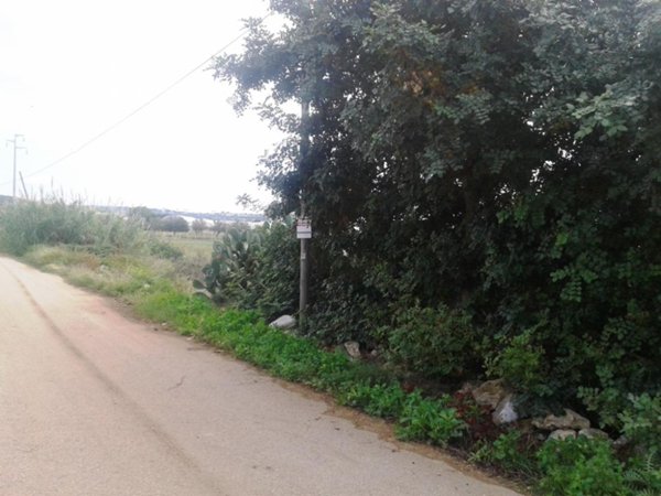 terreno agricolo in vendita a Scicli