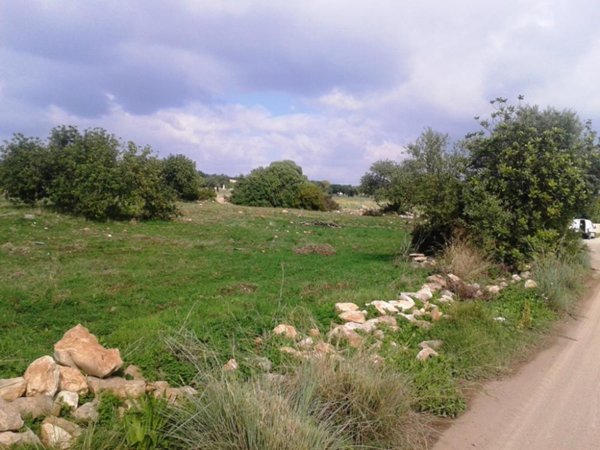 terreno agricolo in vendita a Scicli in zona Donnalucata
