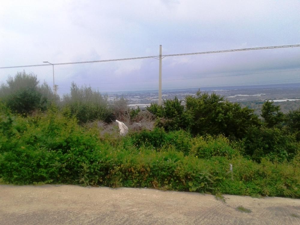 terreno agricolo in vendita a Scicli in zona Cava d'Aliga