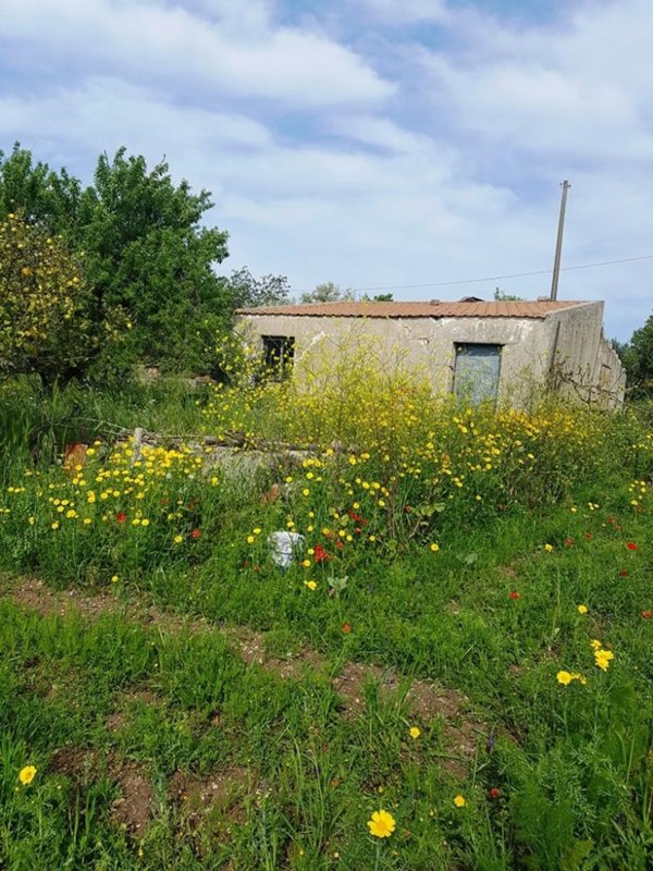 casa indipendente in vendita a Scicli