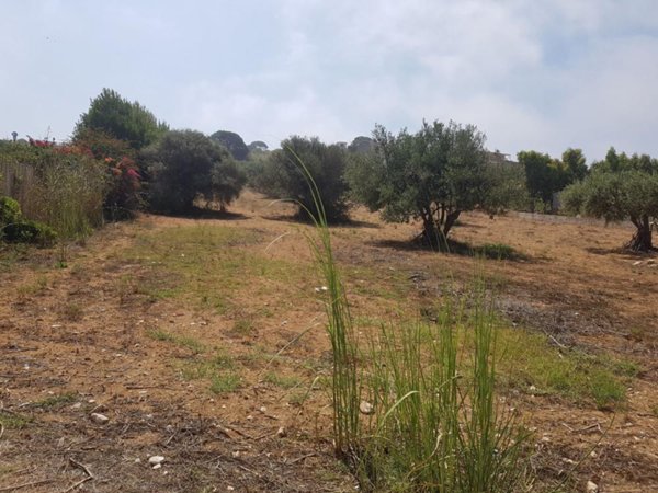 terreno agricolo in vendita a Scicli in zona Cava d'Aliga
