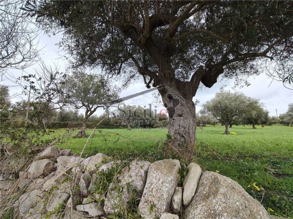 terreno edificabile in vendita a Scicli