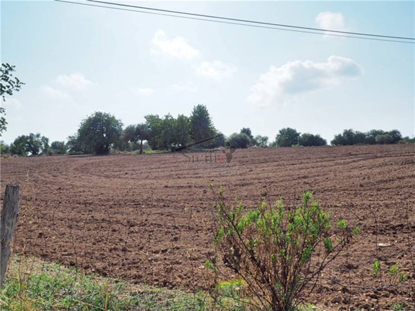 terreno agricolo in vendita a Scicli