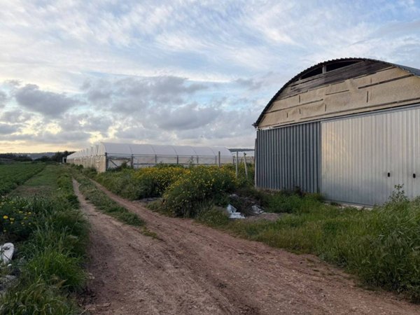 terreno agricolo in vendita a Scicli