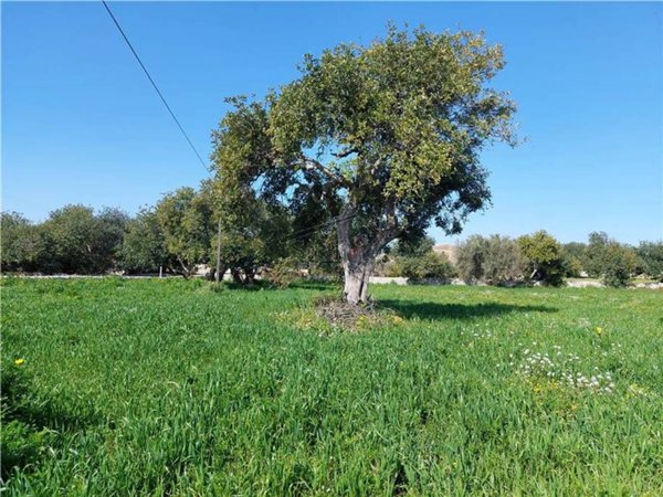terreno edificabile in vendita a Scicli