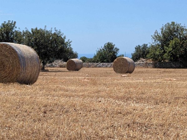 terreno agricolo in vendita a Scicli