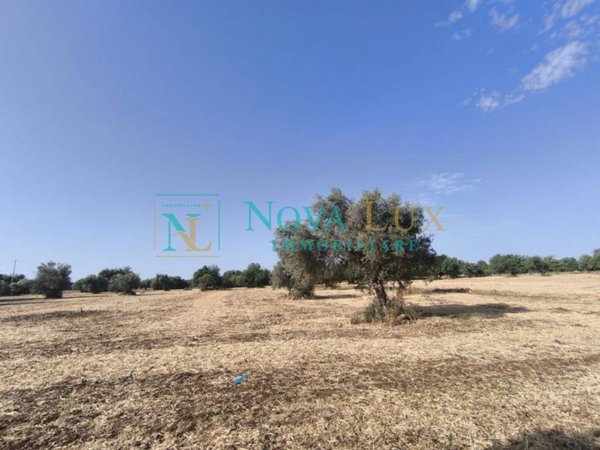 terreno agricolo in vendita a Scicli