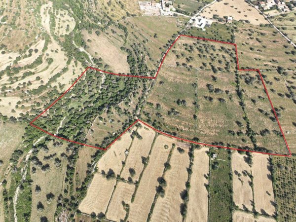 terreno agricolo in vendita a Scicli