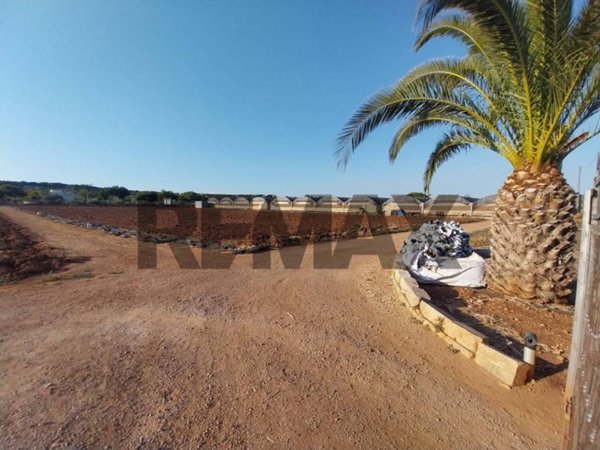 terreno agricolo in vendita a Scicli