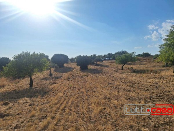 terreno agricolo in vendita a Scicli