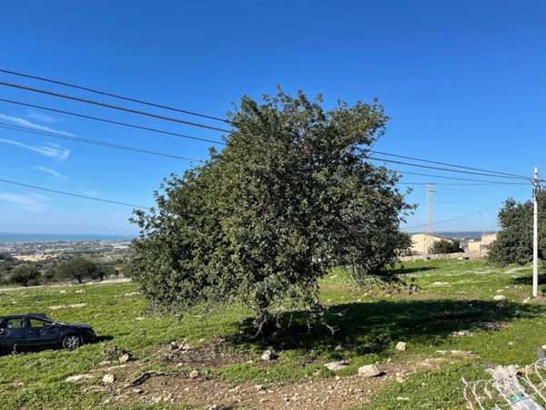 terreno edificabile in vendita a Scicli