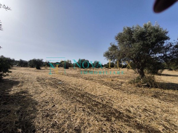 terreno agricolo in vendita a Scicli