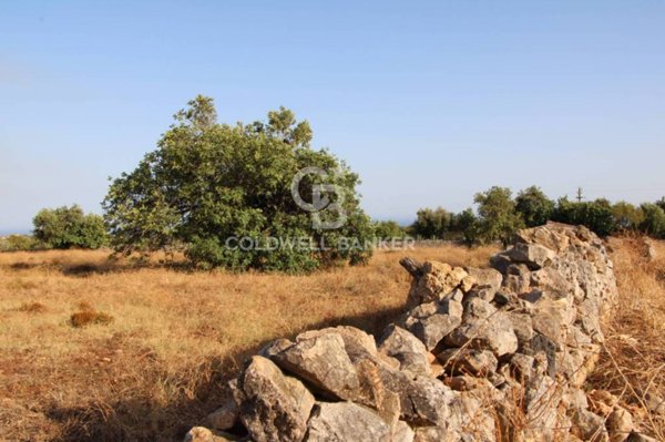 terreno agricolo in vendita a Scicli