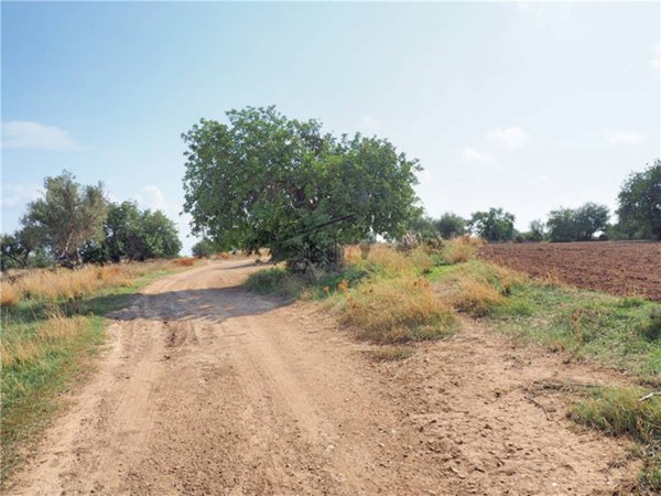 terreno agricolo in vendita a Scicli