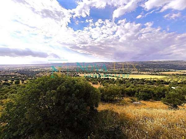 terreno agricolo in vendita a Scicli