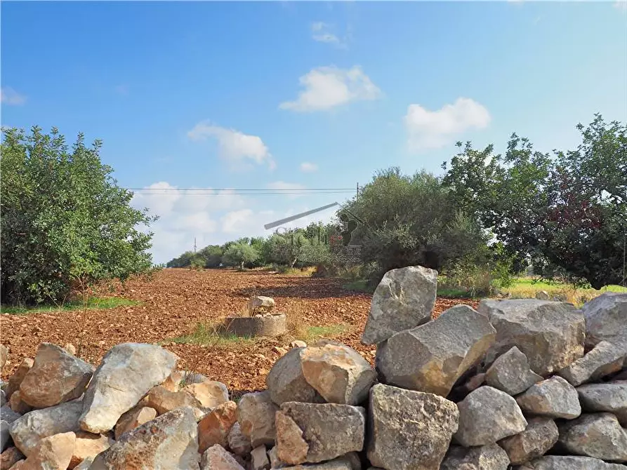 terreno agricolo in vendita a Scicli