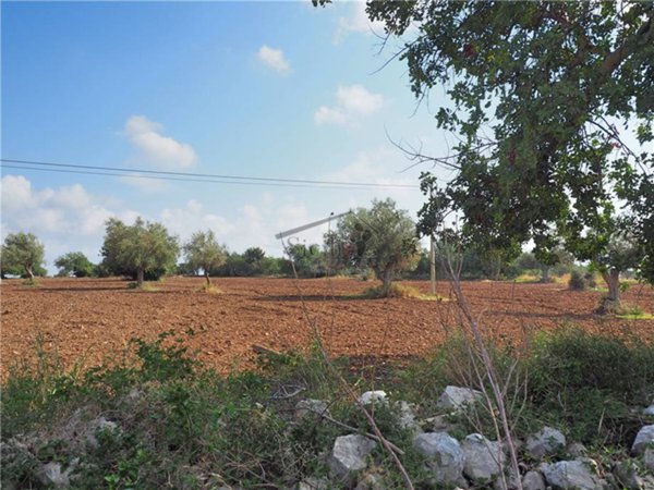 terreno agricolo in vendita a Scicli