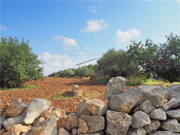 terreno agricolo in vendita a Scicli