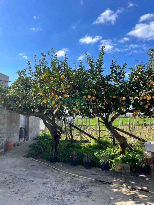 locale di sgombero in vendita a Scicli in zona Donnalucata
