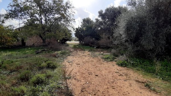 terreno agricolo in vendita a Vittoria