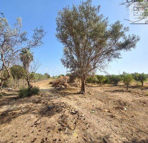 terreno agricolo in vendita a Vittoria in zona Scoglitti
