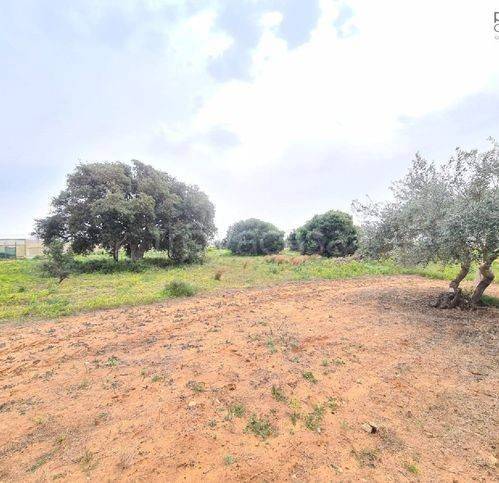terreno agricolo in vendita a Vittoria