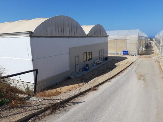azienda agricola in vendita a Vittoria in zona Scoglitti