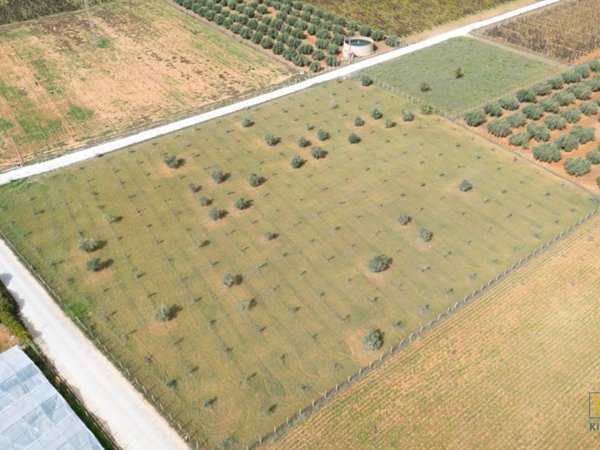 casa indipendente in vendita a Vittoria
