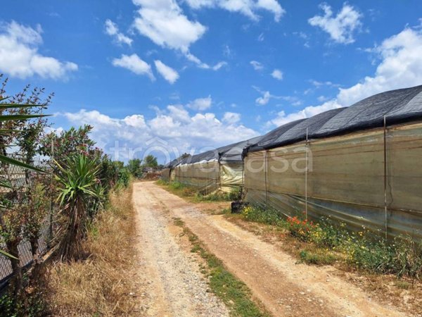 terreno agricolo in vendita a Vittoria in zona Scoglitti