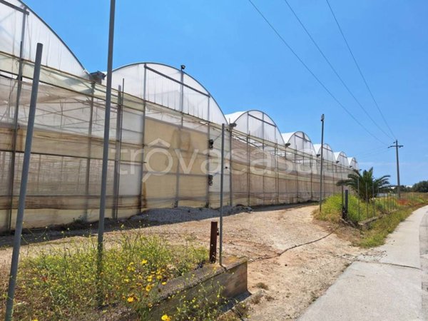 appartamento in vendita a Vittoria in zona Scoglitti