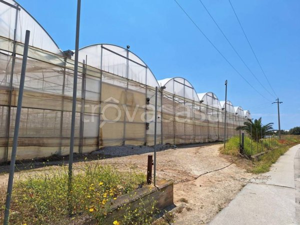 ufficio in vendita a Vittoria in zona Scoglitti