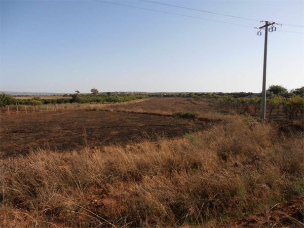 terreno agricolo in vendita a Vittoria