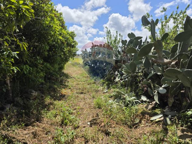 terreno agricolo in vendita a Vittoria in zona Scoglitti