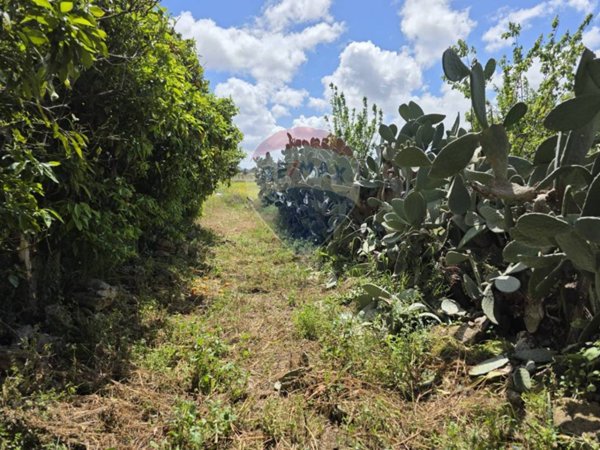 terreno agricolo in vendita a Vittoria in zona Scoglitti
