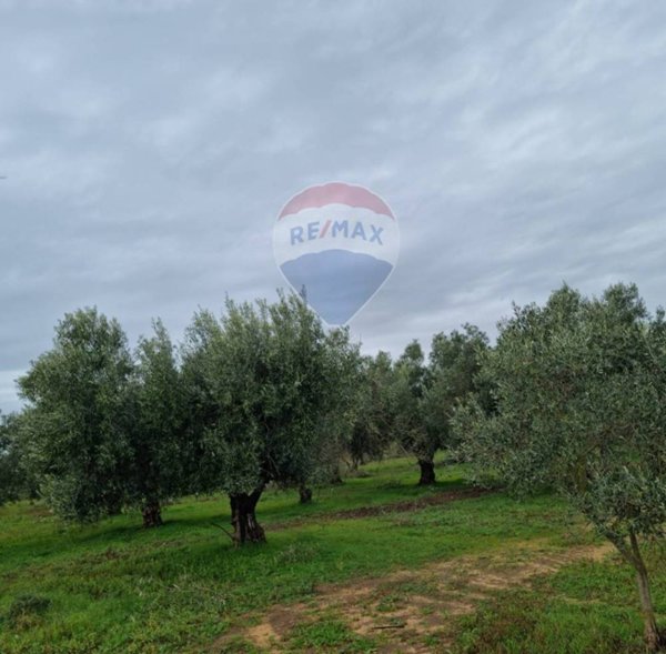 terreno agricolo in vendita a Vittoria