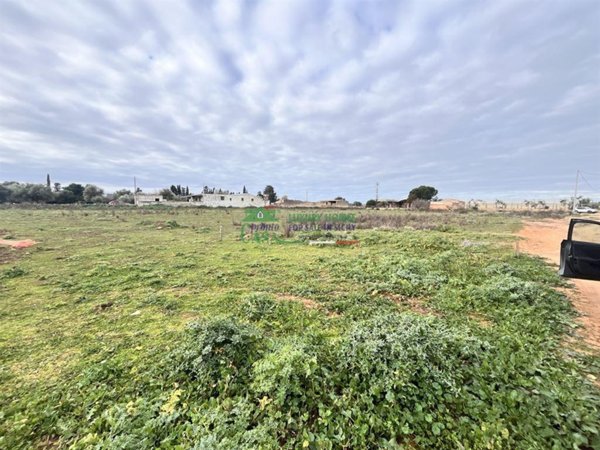 casa indipendente in vendita a Vittoria in zona Scoglitti