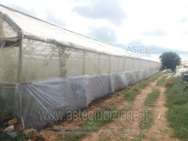 terreno agricolo in vendita a Vittoria