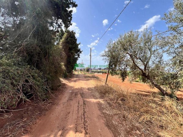 immagine annuncio 0 di 5