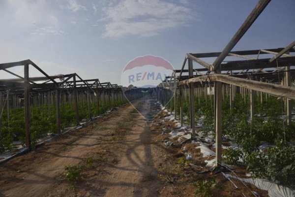 azienda agricola in vendita a Vittoria