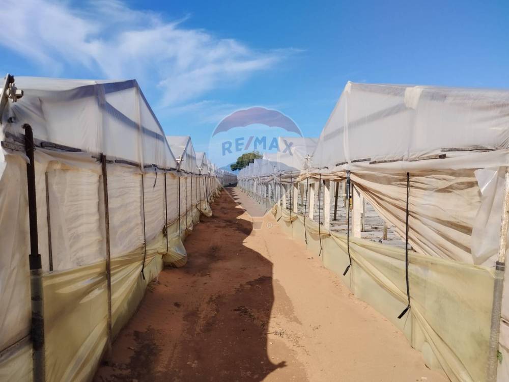 casa indipendente in vendita a Vittoria in zona Scoglitti